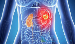 ���߷��ð�������/Ӣ�����������Ҫ������