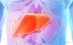 ��������(Inlyta)����TACE�������ڸΰ����������԰�ȫ����