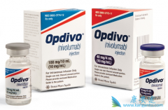 �ΰ�PD-1����ҩ��Opdivo���й��ļ۸���������һ��