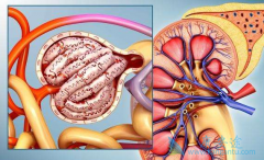 ��������Ӧ�����ȷ�Դ���������/��̹�����ڼ��Ѫѹ����