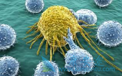 PD-1�������Ƶĳ����ð�֢���Ʋ���������������