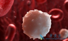 ����������Ѫ������ҩ���������Ӧ֢������Щ