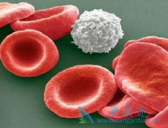 ���ְ�Ѫ�����߷��ô�ɳ����(Dasatinib)������ܰ�ϸ������֢