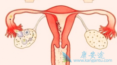 ��ķ����(pembrolizumab)����niraparib�����ѳ����ȵ�ҩ���Ը�