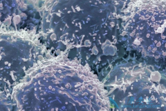 ������Ӧ֢��������(Afatinib)����HER2ͻ��ΰ����ߵ�����ѡ��