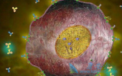 �������ٰ���ǰ����͡/�����鵥������ͬ���¸������Ʋ�Ӱ��OS