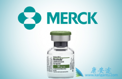 PD-1ҩ���ܷ��TKIҩ��һ�����ã�