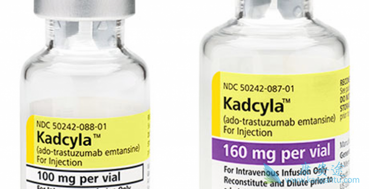 HER-2�������ٰ�