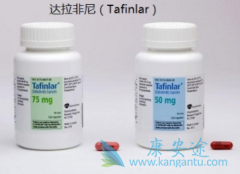 ����ҩ���������(Dabrafenib)�������������еĺ�ɫ��������