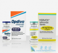 PD-1����Opdivo��CTLA-4����Yervoy�����ȫ��������ƶ��ְ�֢