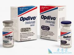 PD-1����Opdivo�ڷ�Сϸ���ΰ�����������ռ�Ȼ�