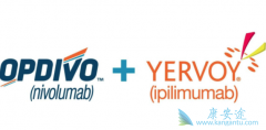 PD-1���Ƽ�Opdivo��ŷ���֣����������ڷΰ������������Ӧ֢