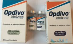PD-1���Ƽ����䵥��(nivolumab)/ŷ������Ҫ���������