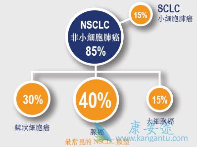 �ΰ����Ʒ���