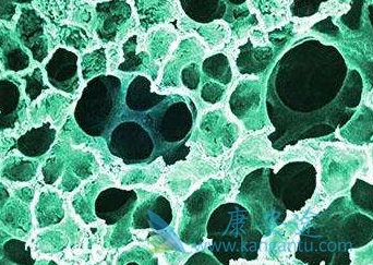 ������ͪ