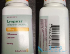 ����ҩ���������(lynparza)�����ѳ������ŵ���ʲô