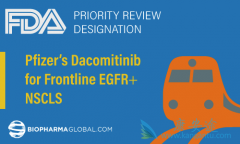 ������ᣨDacomitinib�����Ʒ�Сϸ���ΰ���ҩ�����ô����