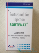 ����(BORTENT)���ƹ����������ǶȰ�Ҫ�����ģ�