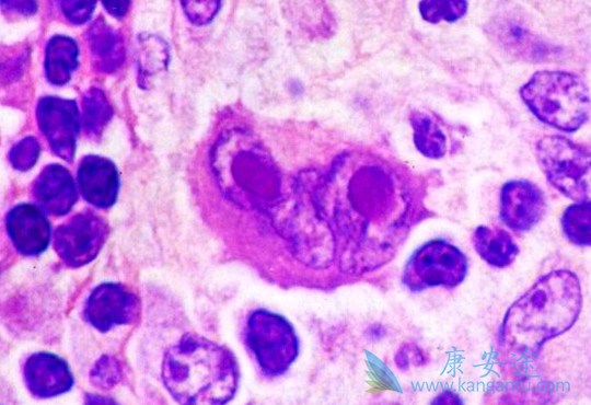 ��³����