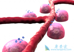 ����ʹ��³������(ruxolitinib)/«�������������ôȷ��