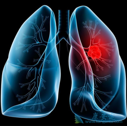 ��ķ����