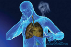 �۰��ͷ��ۻ��߾��ܴ����䵥��(nivolumab)/ŷ�����л���