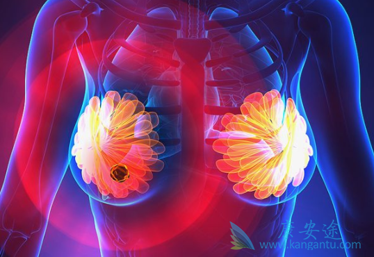 �����쵥��