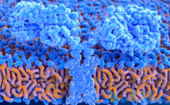 CAR-T��ƷKymriah��Yescarta֮����ʲô����