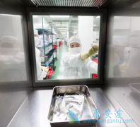 �෢�Թ�������ΪCAR-Tϸ�����Ƶ��³�