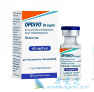 ��֢����������ҩ�����䵥��(opdivo)���ܳ�����Щ����֢��