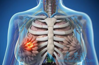 �����鵥��