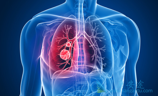 艾乐替尼 艾乐替尼