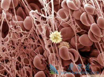 ³������