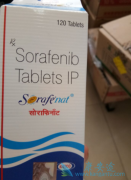 ����ҩ����������(Sorafenib)���������ڰ�֢ʱ�������
