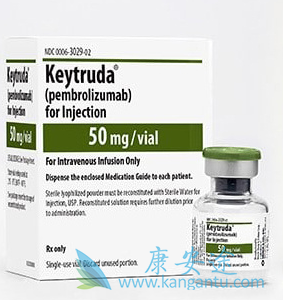 ��ķ����