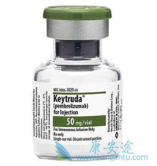 ��ķ����