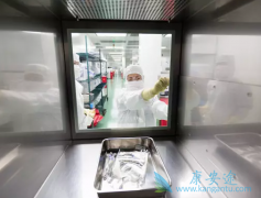 ��֢��������CAR-Tϸ���Ʒ���PD-1/PD-L1�����Ʒ���ʲô����