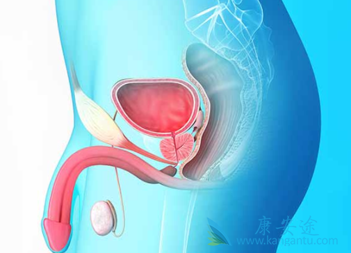 ����³��