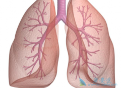 ������ͪ(pirfenidone)�����ڼ仼���ܳ�����