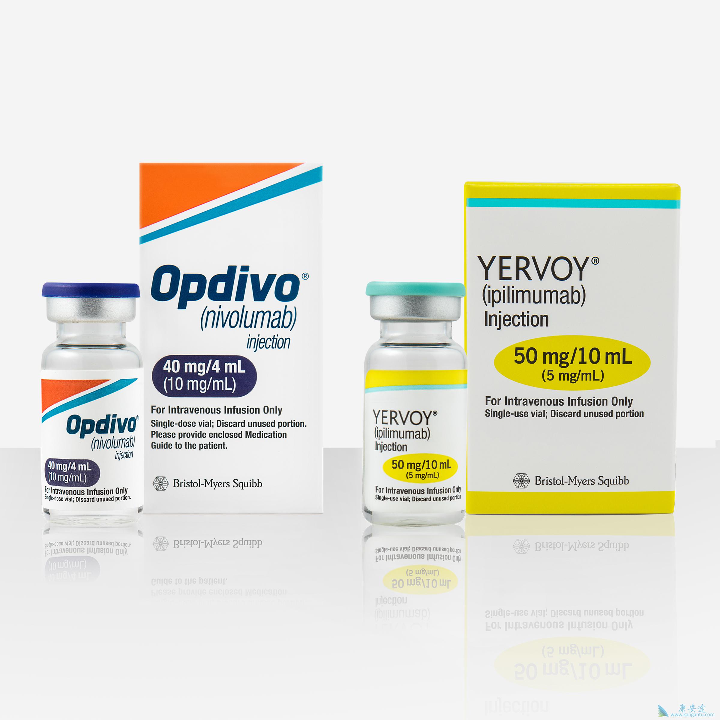 PD-1抗体 PD-1抗体