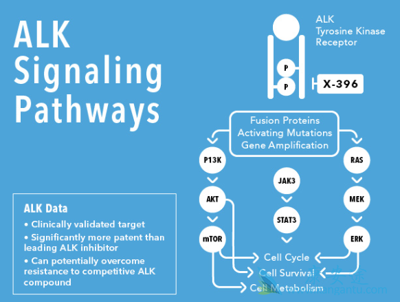 Ensartinib Ensartinib