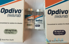 ���䵥��(opdivo)��Ϊ�ҹ��ΰ����ߴ������õ��������