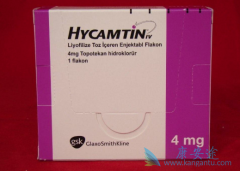 ϲ�����������в��濵��topotecan�����Ƹ������ѳ�����Ч��