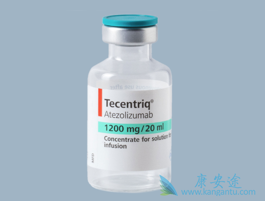 PD-L1抗体 PD-L1抗体