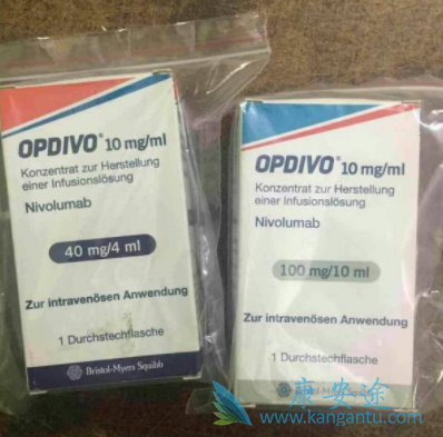 纳武单抗 纳武单抗