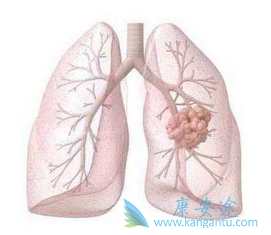 ��ϣ����