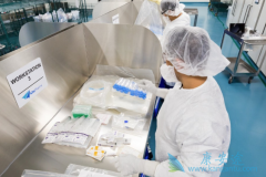 �����ܰ��԰�Ѫ������Emily��CAR-Tϸ�����Ƶ��׸�������