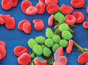 ��³����