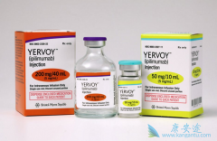 ŵ����ҽѧ��CTLA-4��������ҩ��Yervoy��ipilimumab����ʲô��