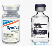 ����ŵ����ҽѧ����PD-1����ҩ��Ŀǰ�Ѿ����й�����